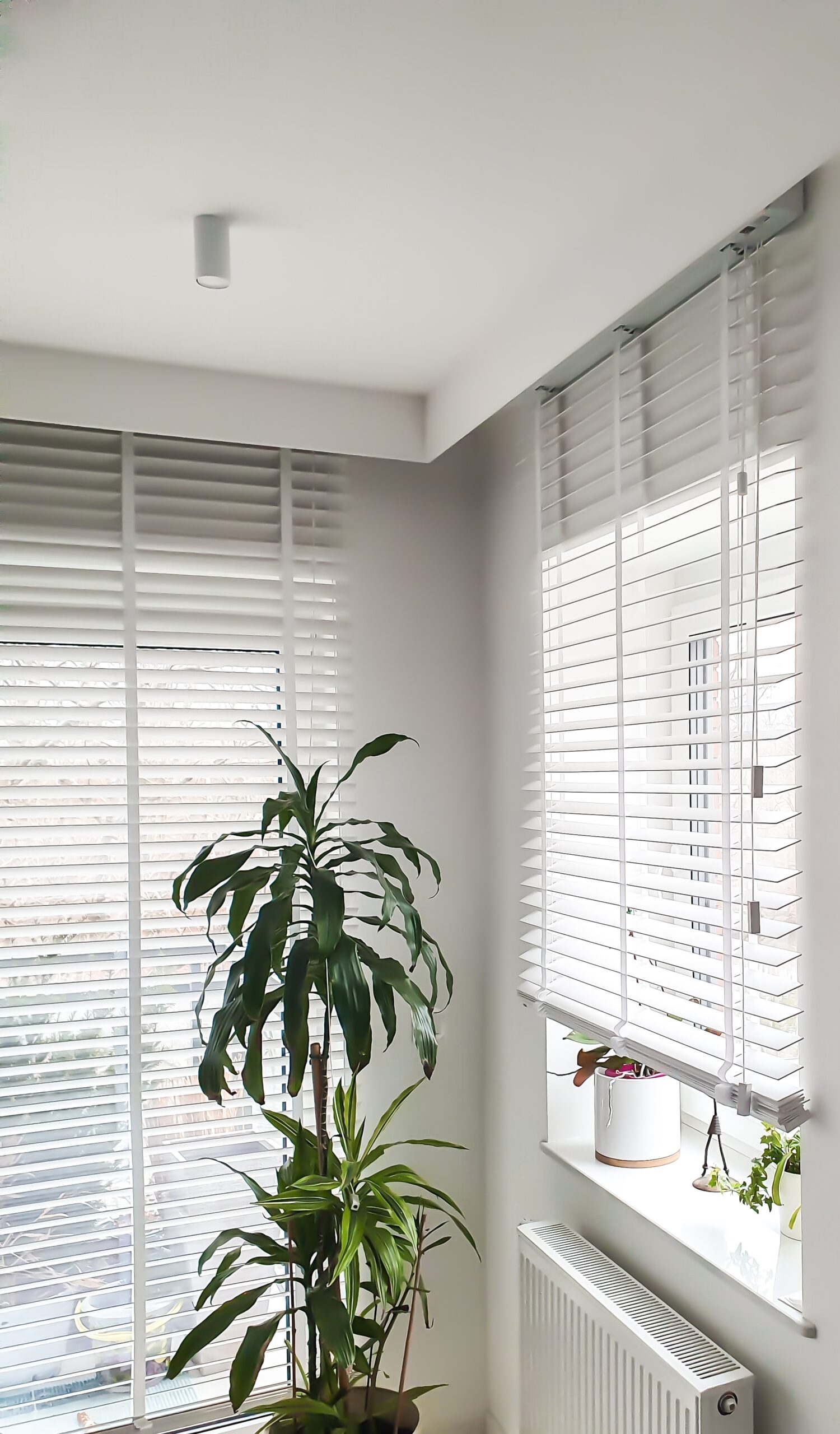 Żaluzje drewniane 50mm w oknie narożnym