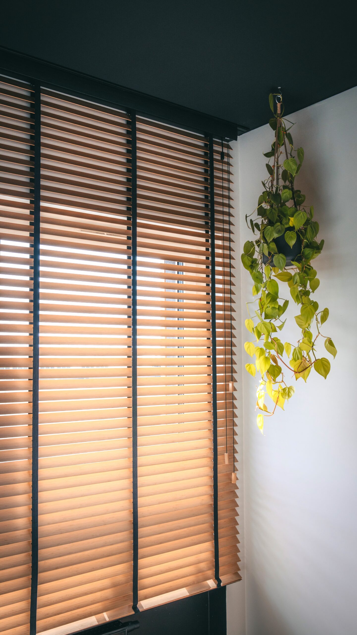 Żaluzja bambusowa 50mm z taśmą