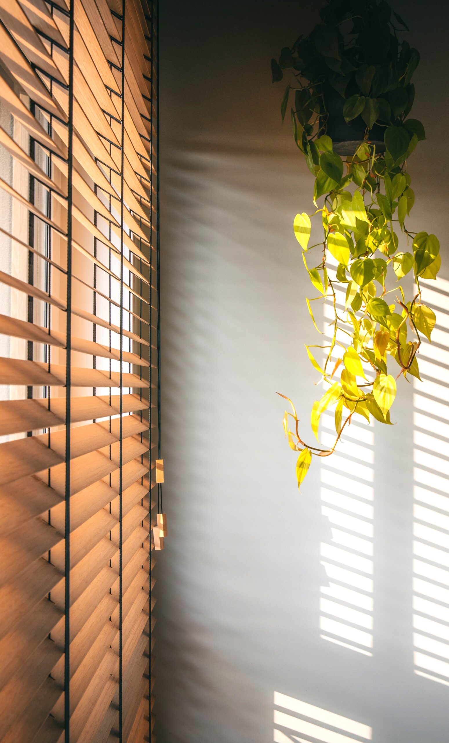 Żaluzja bambusowa 50mm w sypialni